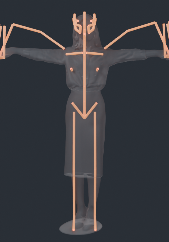 the rig over the body